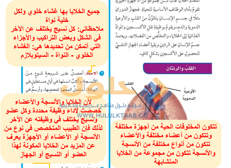 حل كتاب العلوم سادس ابتدائي ف1 1446